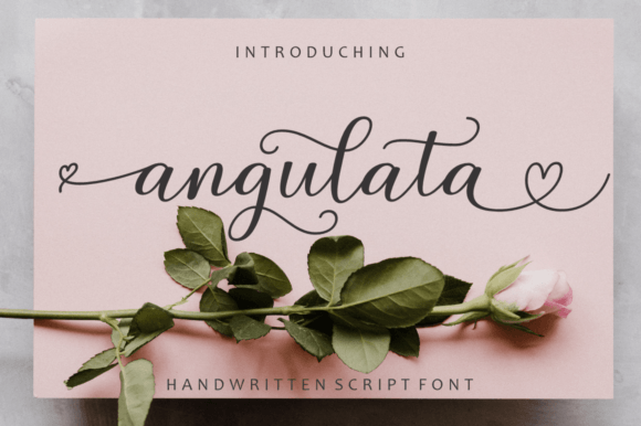 Angulata: A Modern Calligraphy Font