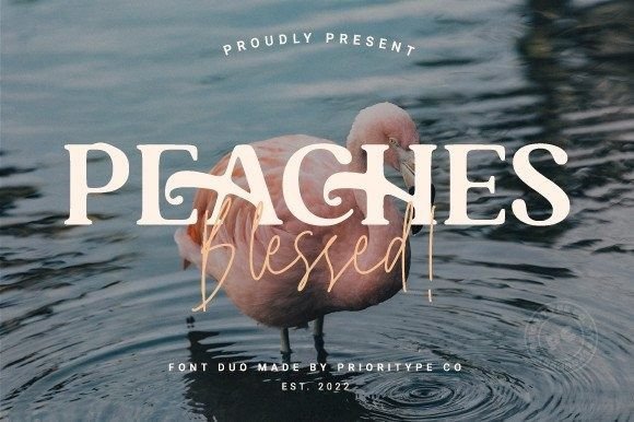 Peaches Blessed Duo Font