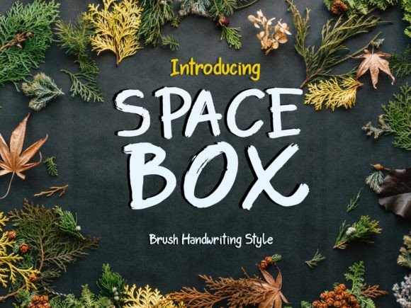 Space Box: A Bold Script That Demands Space